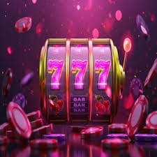 23wintop
