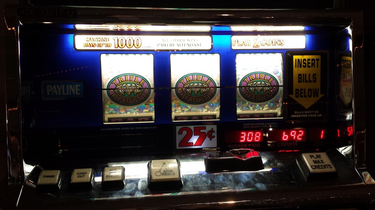 23wintop